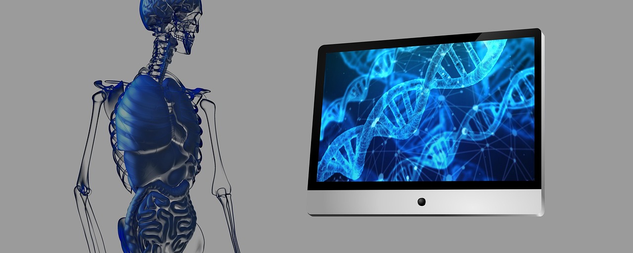 Mitotyping Technologies
