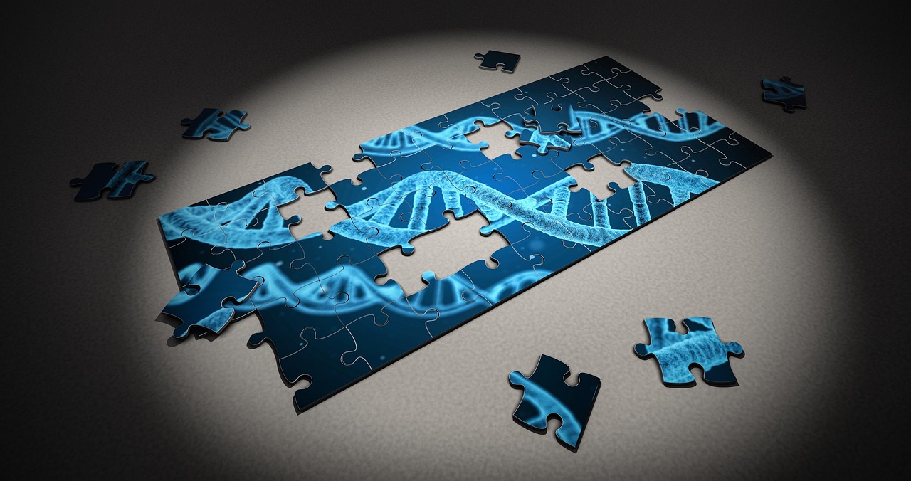 DNA Testing for Immigration